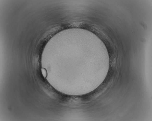 X0000113250599200910221122