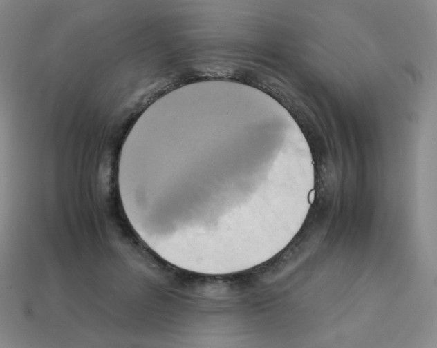 X0000113250600200910221122