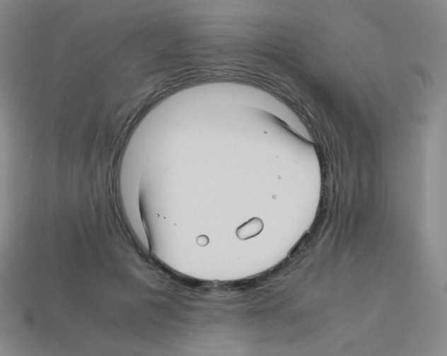 X0000113250601200910221122