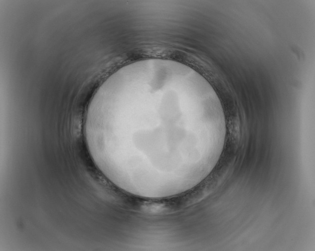 X0000113250602200910221122