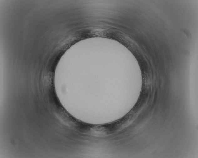 X0000113250603200910221122