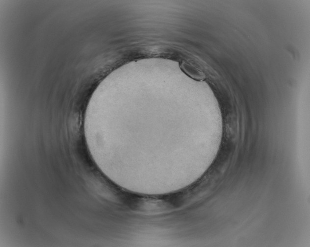 X0000113250605200910221122