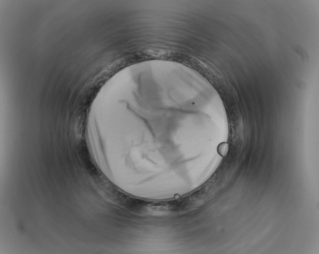 X0000113250606200910221122