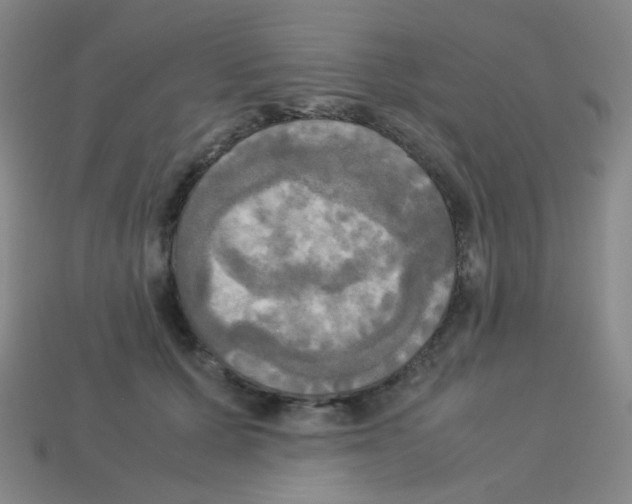 X0000113250607200910221122