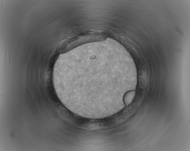 X0000113250608200910221122