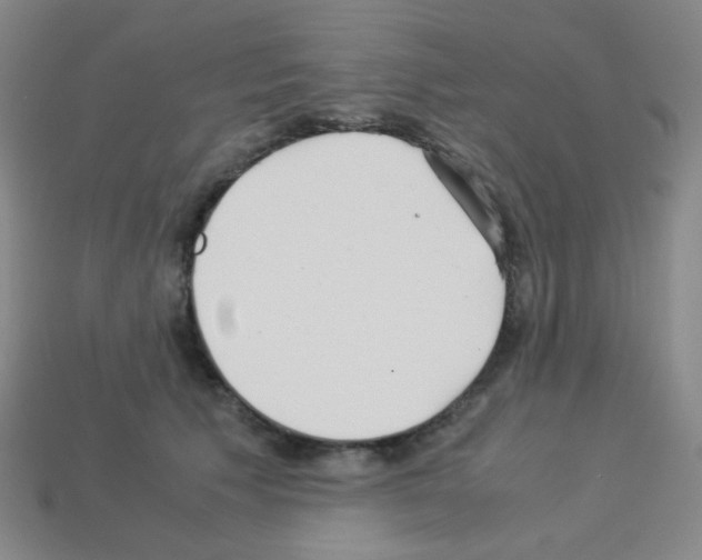 X0000113250609200910221122