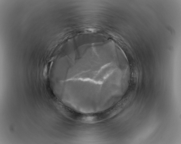 X0000113250610200910221122