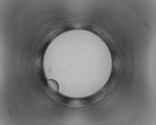 X0000113250611200910221122