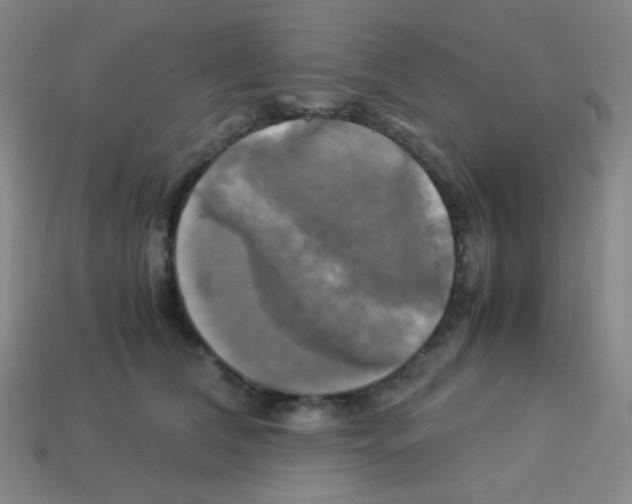 X0000113250612200910221122