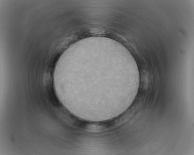 X0000113250614200910221122