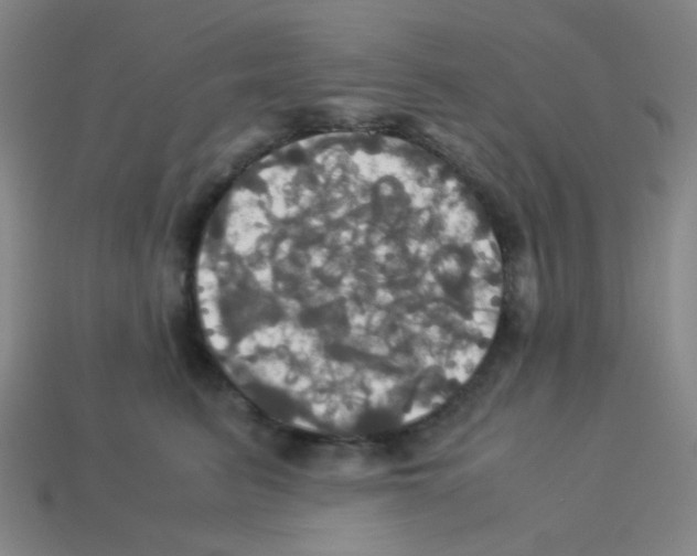 X0000113250615200910221122