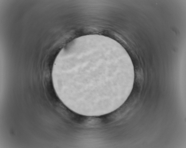 X0000113250617200910221122