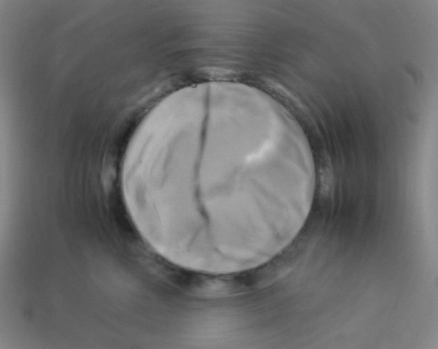 X0000113250618200910221122