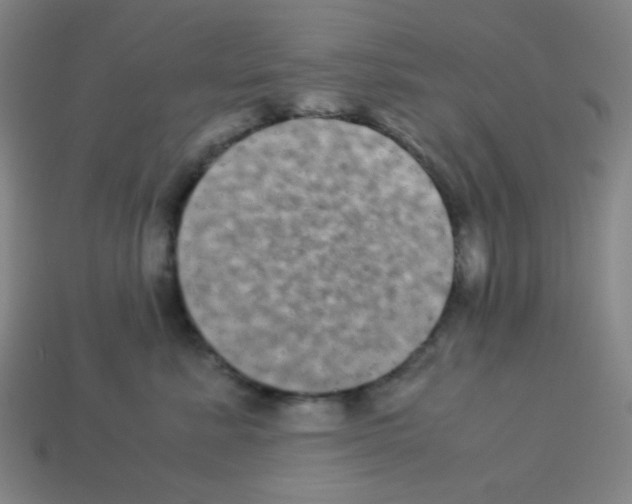 X0000113250619200910221122