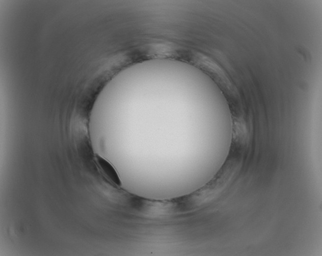 X0000113250621200910221122