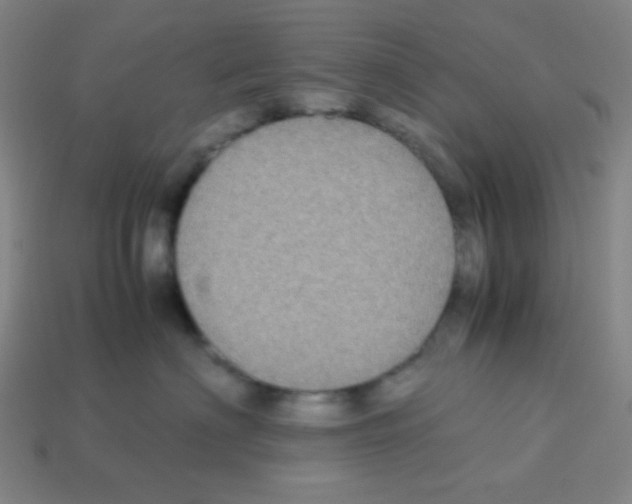 X0000113250622200910221122