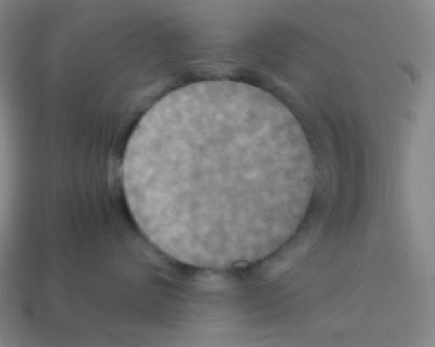 X0000113250624200910221122