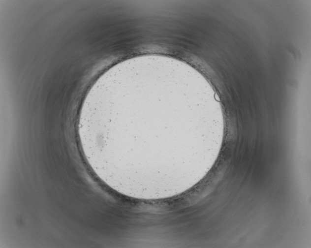 X0000113250625200910221122