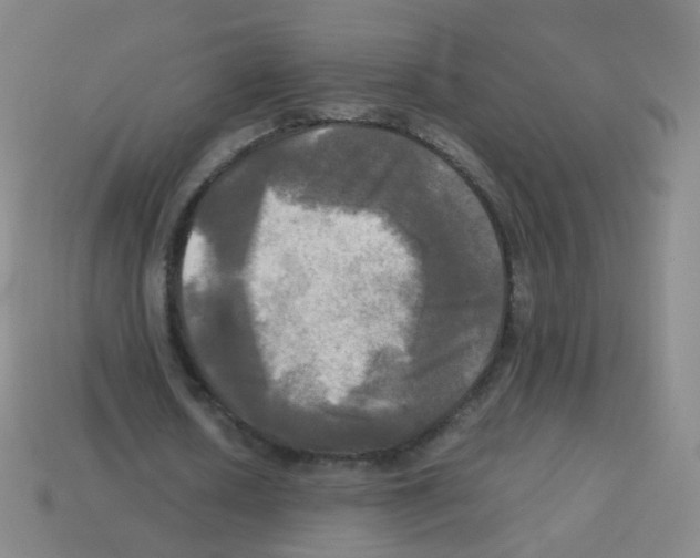 X0000113250626200910221122