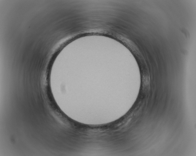 X0000113250628200910221122