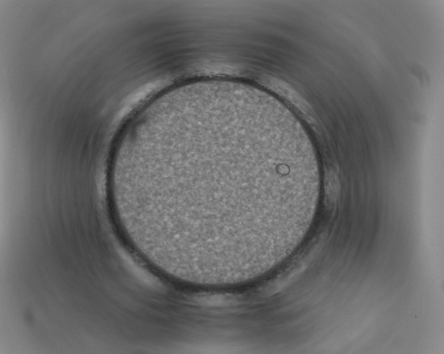 X0000113250629200910221122