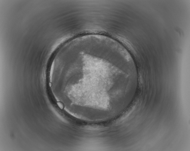 X0000113250630200910221122