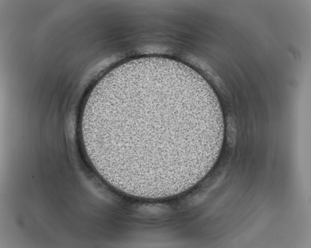 X0000113250631200910221122