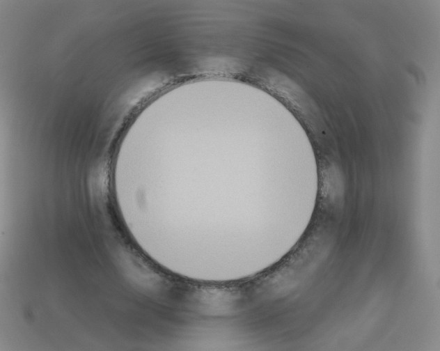 X0000113250632200910221122