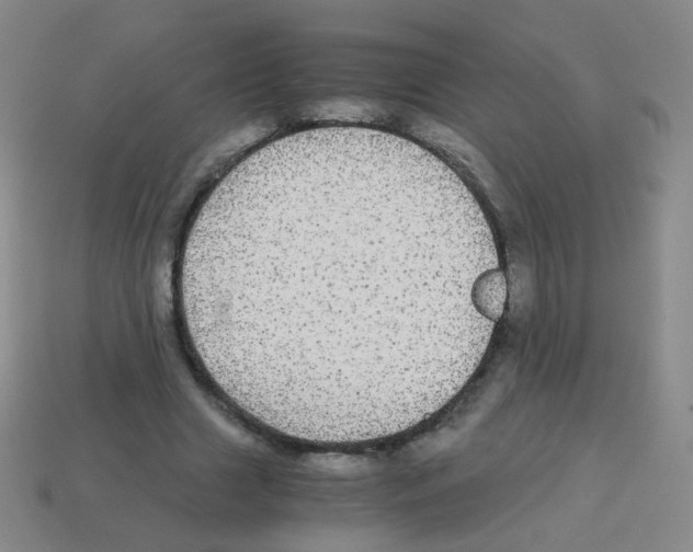 X0000113250633200910221122