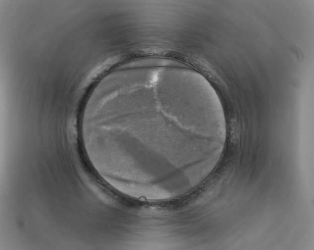 X0000113250634200910221122