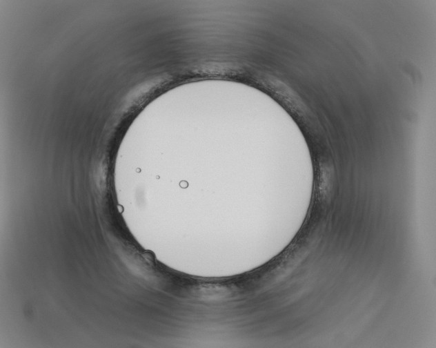 X0000113250636200910221122