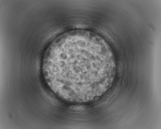 X0000113250639200910221122