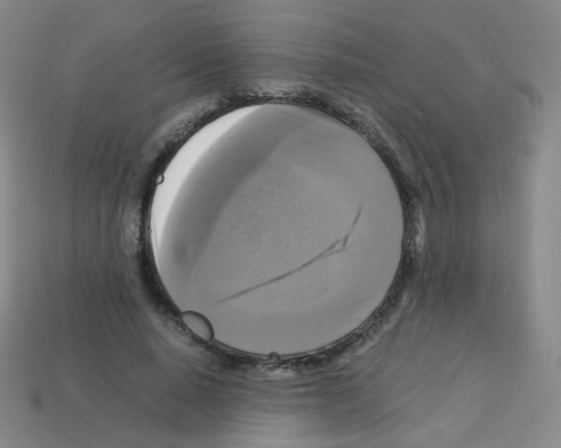 X0000113250640200910221122