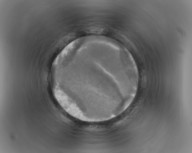 X0000113250641200910221122