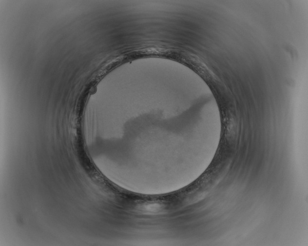 X0000113250643200910221122