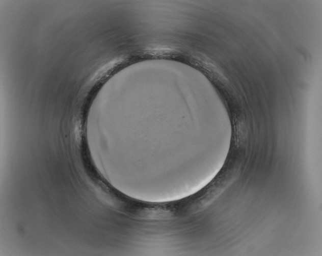 X0000113250644200910221122