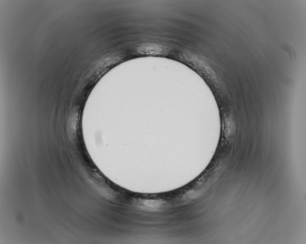 X0000113250645200910221122