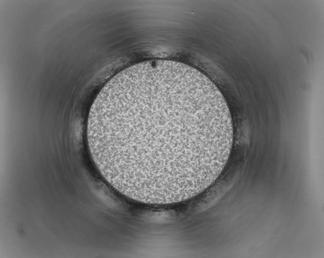 X0000113250646200910221122