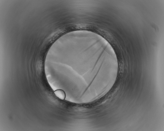 X0000113250648200910221122