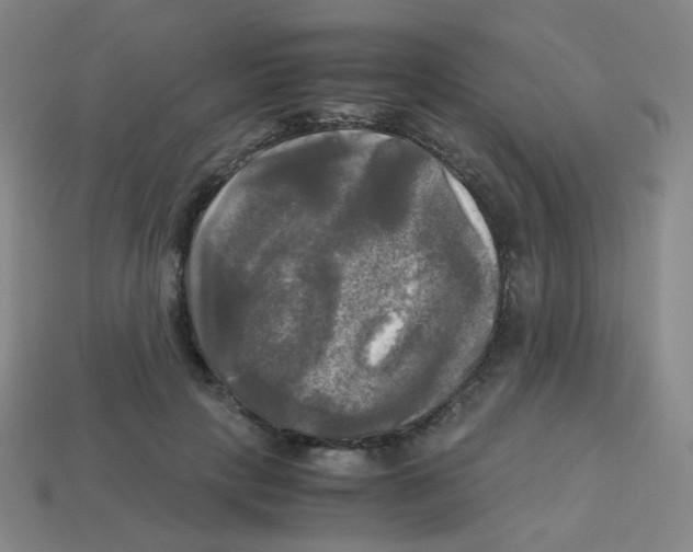 X0000113250649200910221122