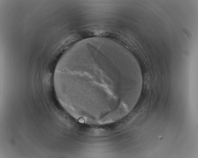 X0000113250650200910221122