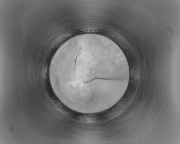 X0000113250652200910221122