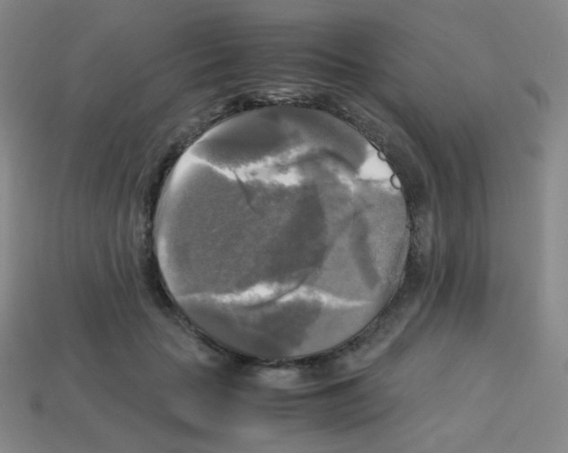 X0000113250653200910221122