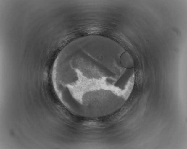 X0000113250655200910221122