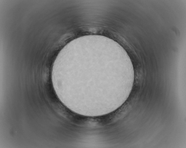 X0000113250656200910221122