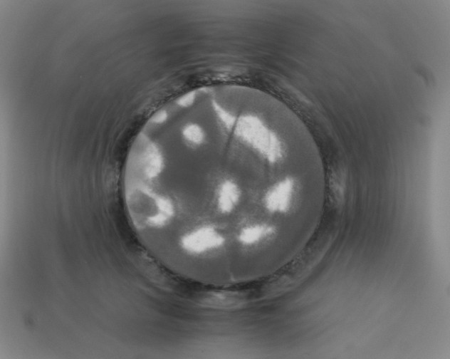 X0000113250657200910221122