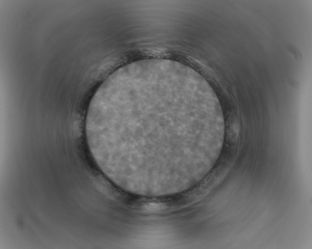 X0000113250658200910221122