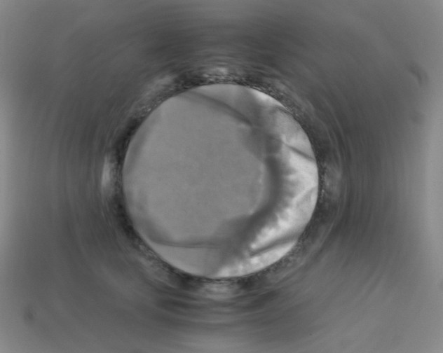 X0000113250659200910221122