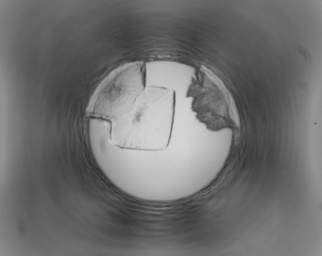 X0000113250661200910221122