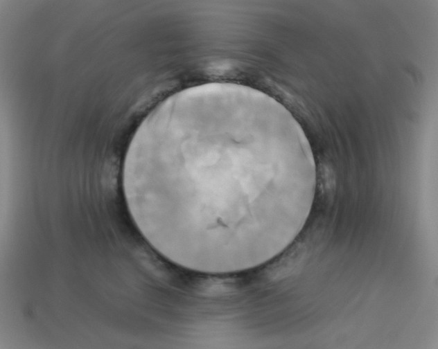 X0000113250664200910221122